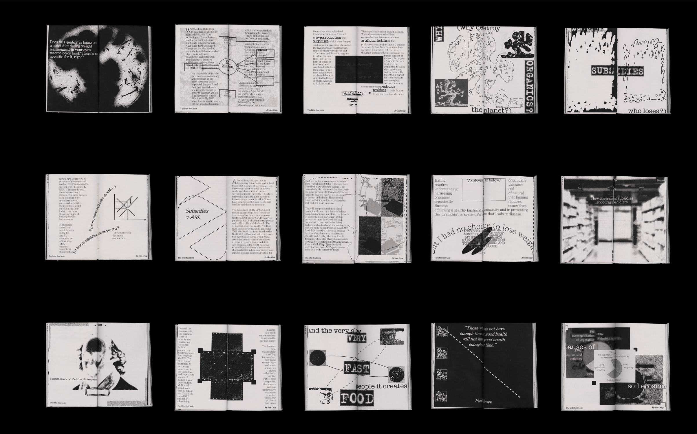 The Little Food Book